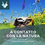 Отель Passo Del Lupo 3*