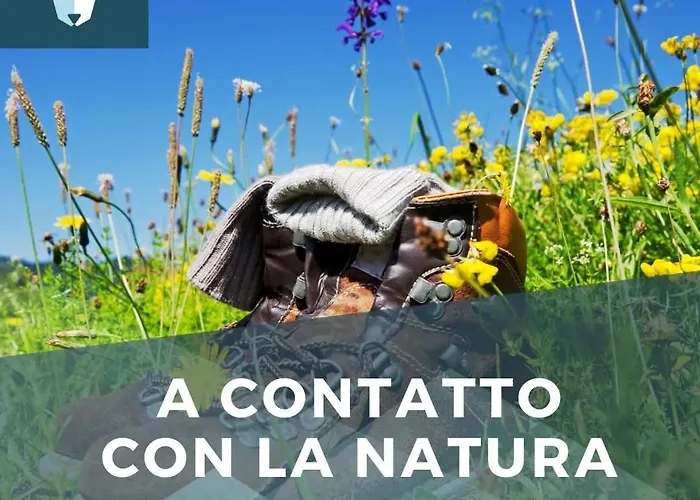 호텔 Passo Del Lupo 3*